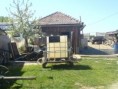 /album/postrekovac/dsc00012-jpg/